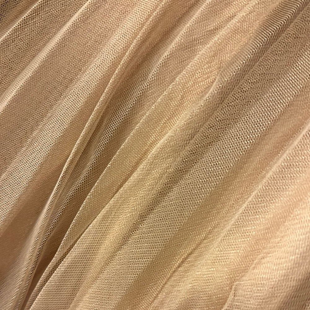 Elegant Beige Tulle Skirt - Picture 5 of 6